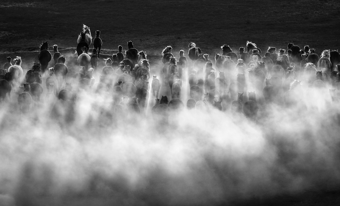 Horse race