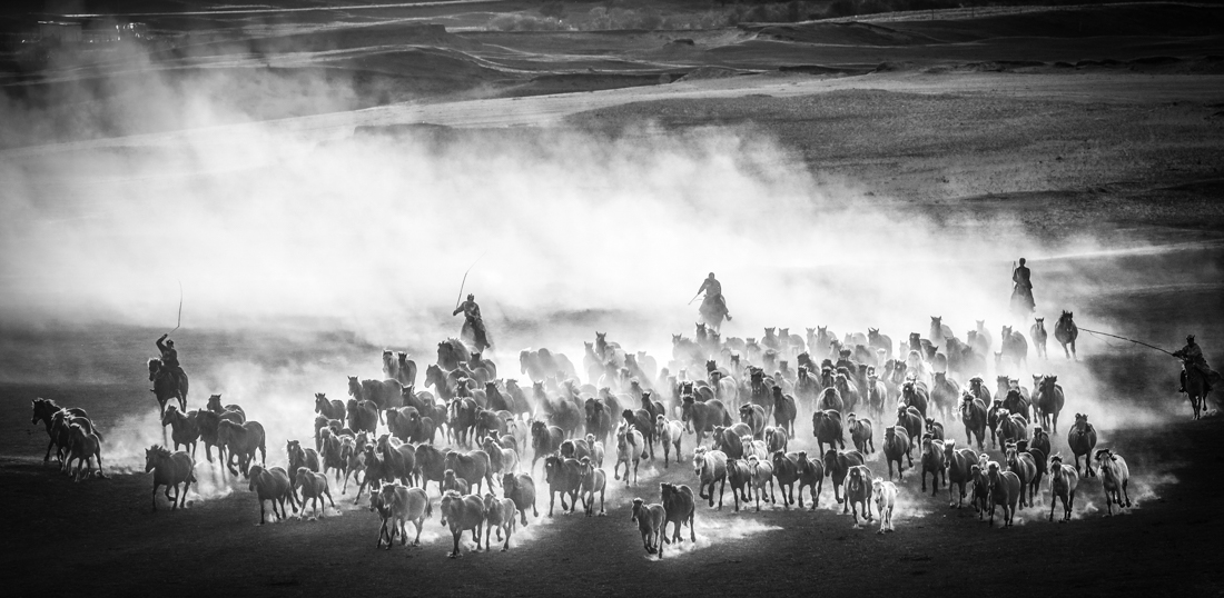 Horse race
