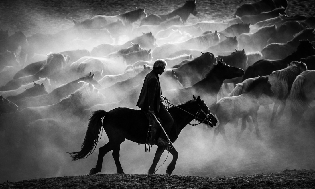 Horse race
