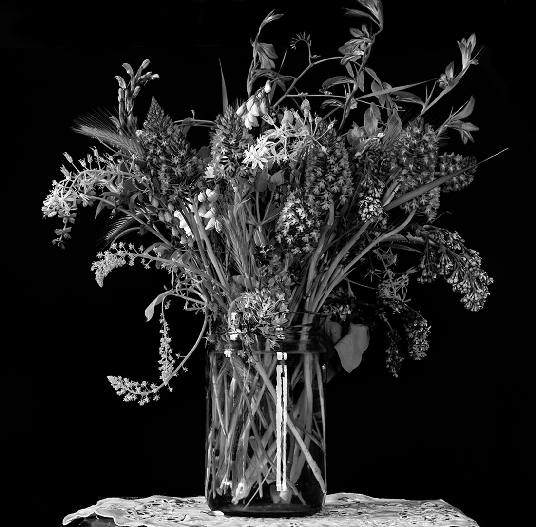 Wildflowers