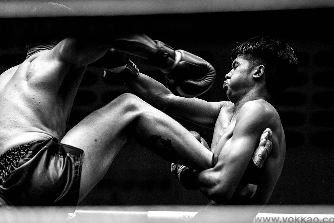 Ode to the fighter