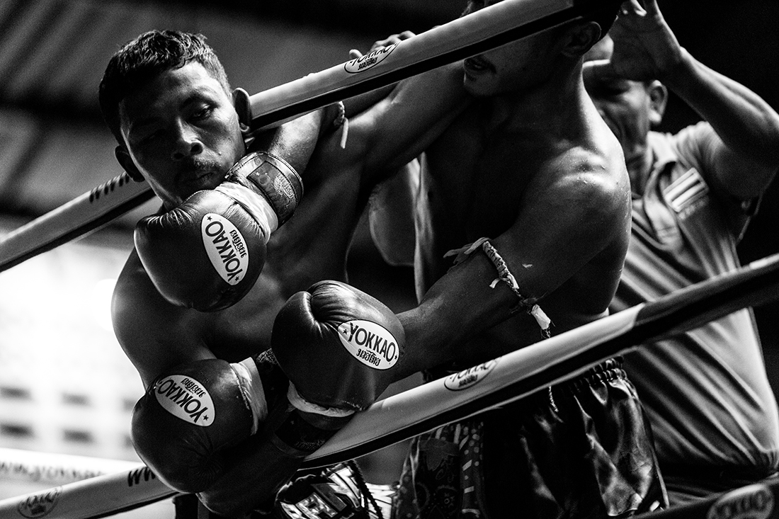 Ode to the fighter