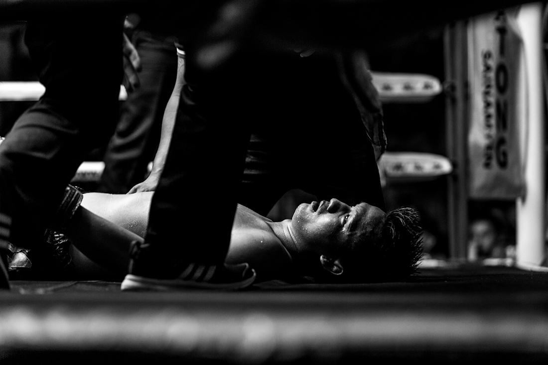 Ode to the fighter