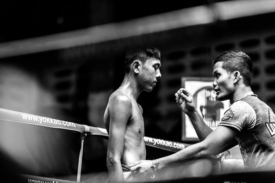 Ode to the fighter