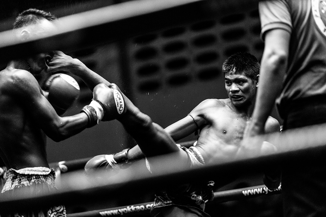 Ode to the fighter