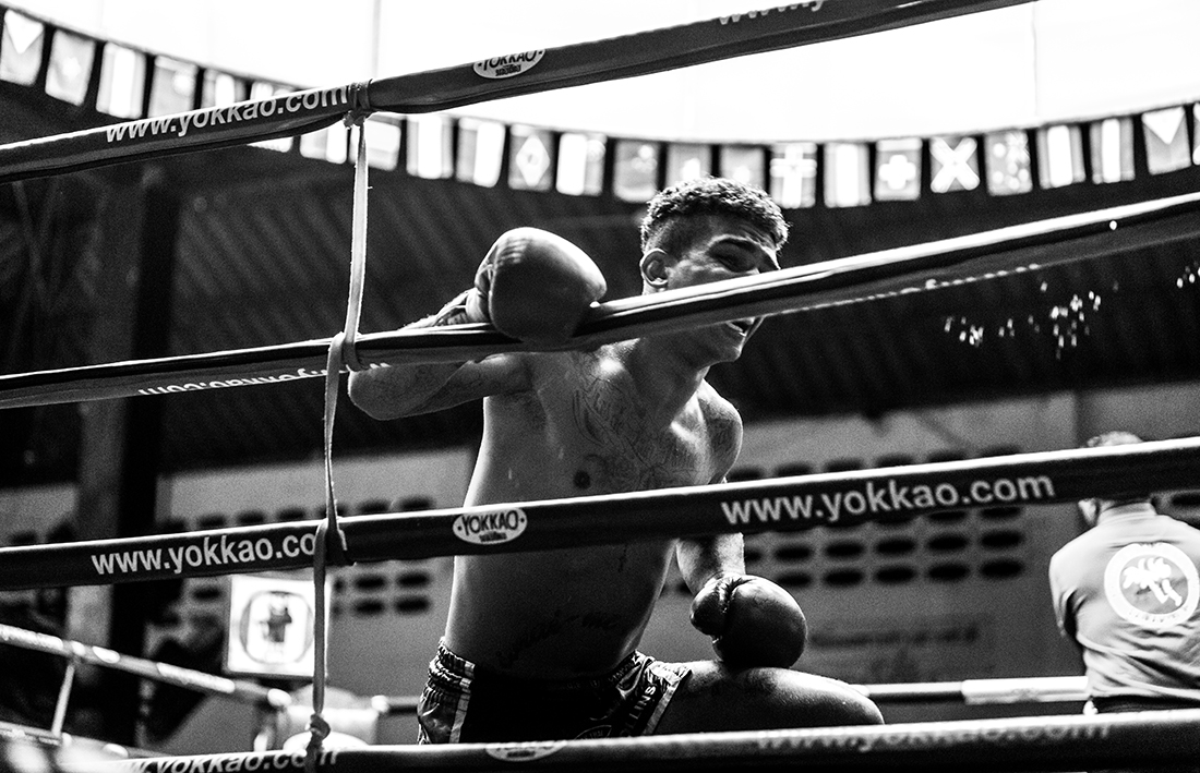 Ode to the fighter