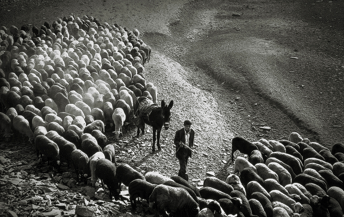 Rural life