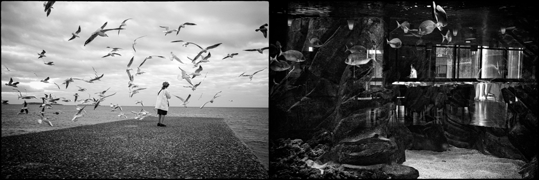 The illusion of reality