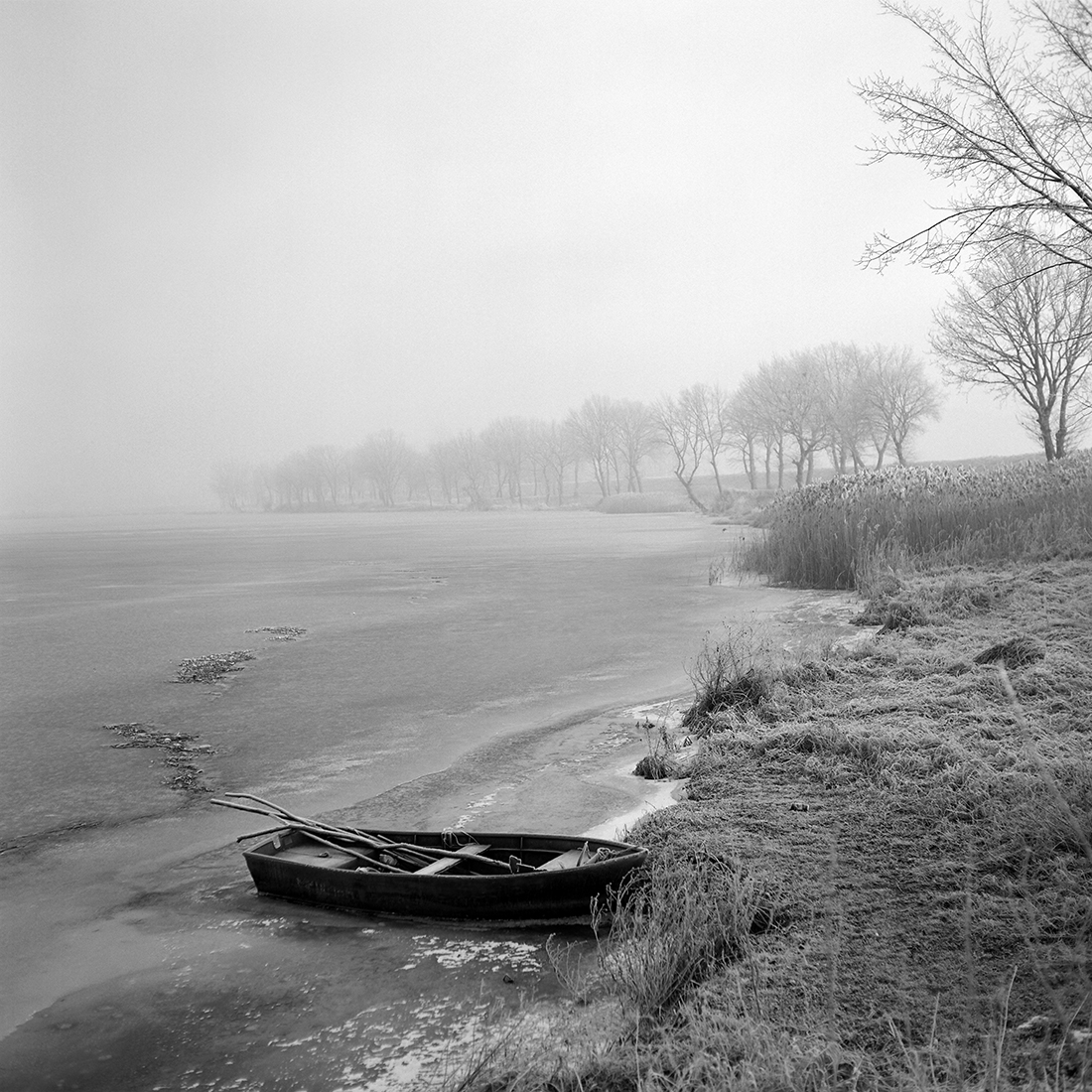 THE SILENCE OF THE SUNRISE