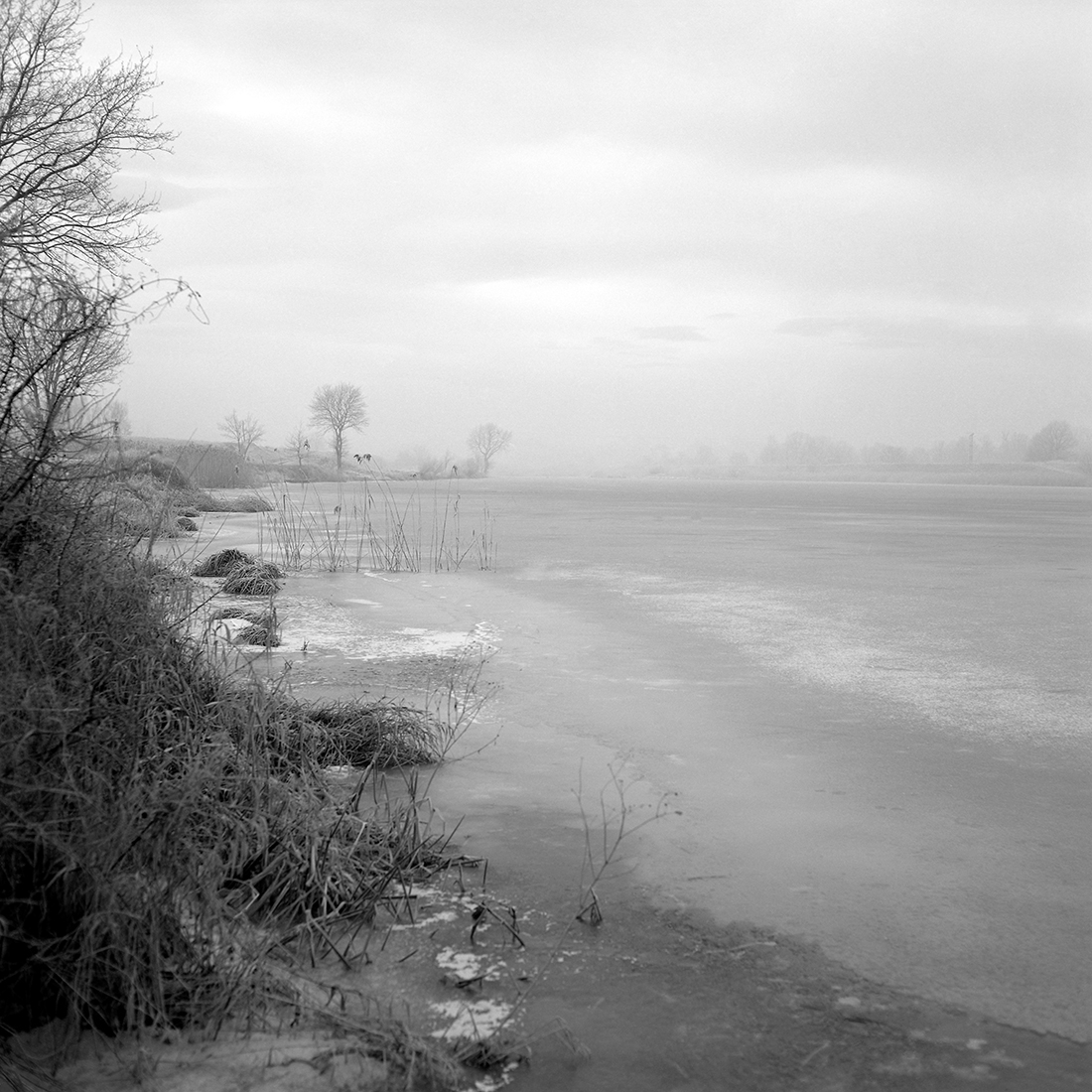 THE SILENCE OF THE SUNRISE