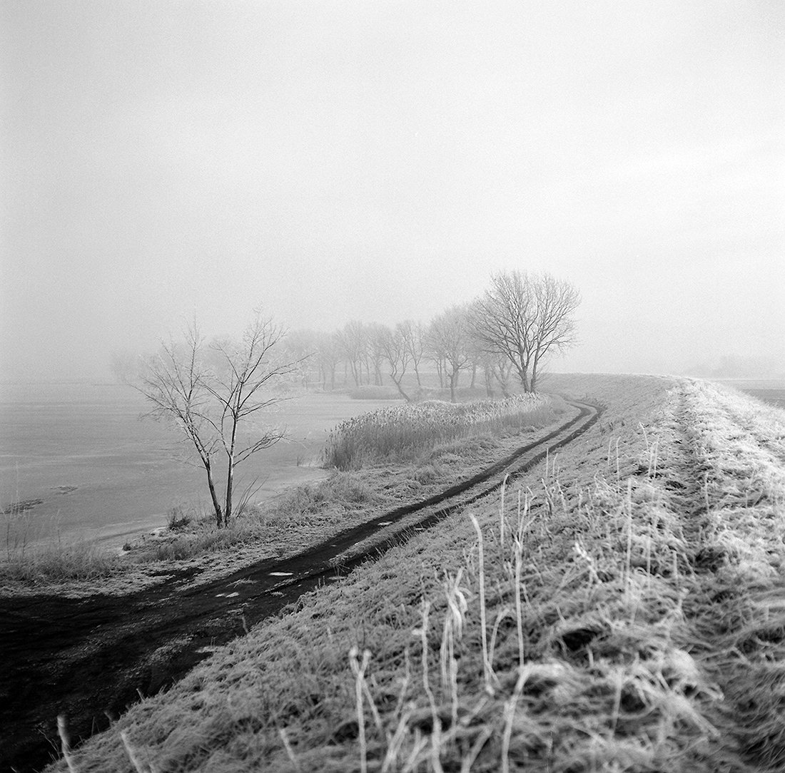 THE SILENCE OF THE SUNRISE