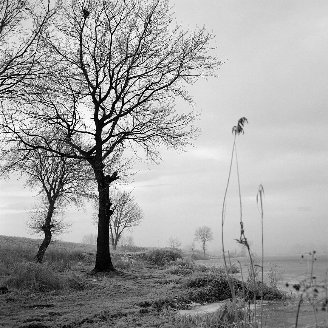 THE SILENCE OF THE SUNRISE