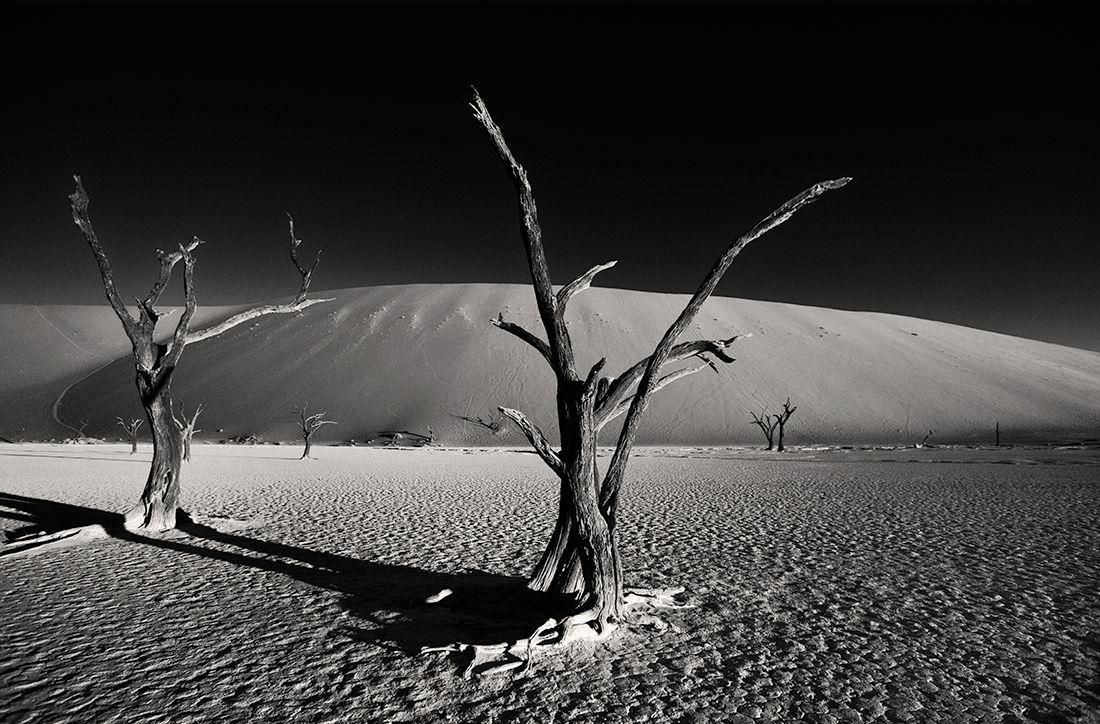 Songs of the desert  | Sossusvlei