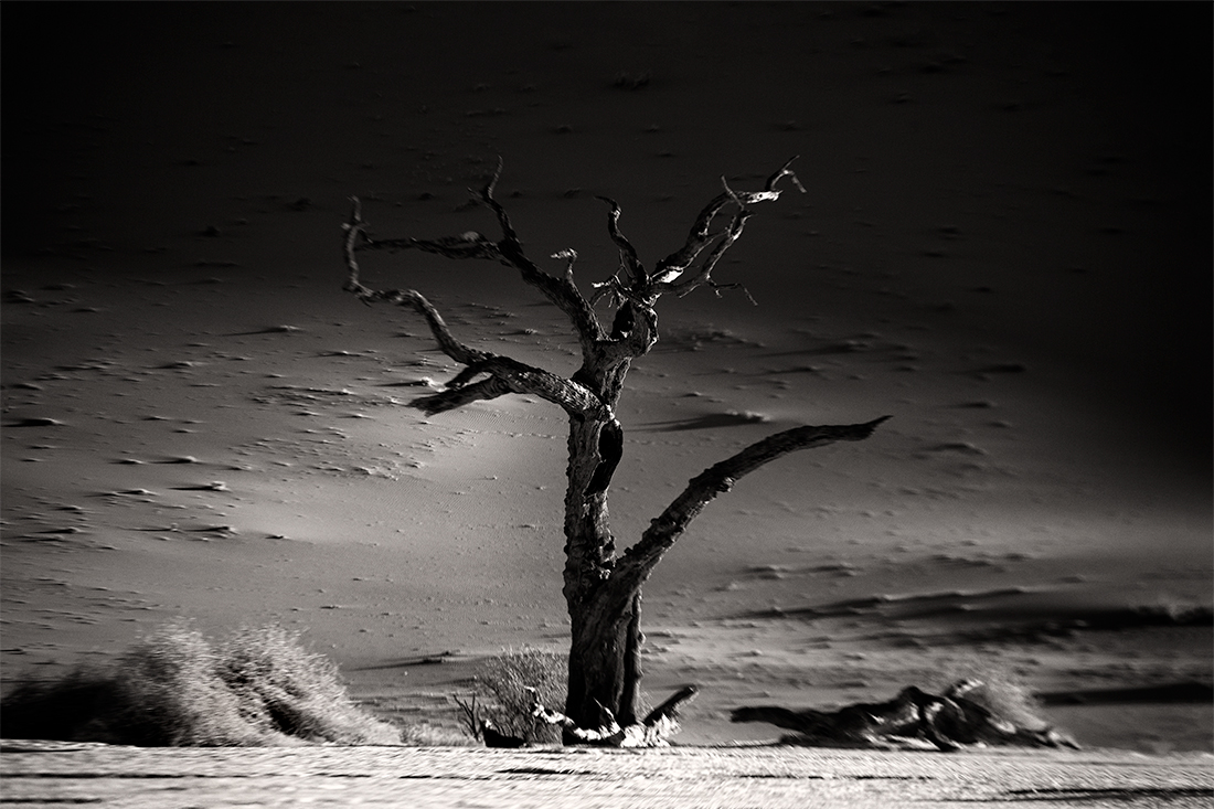 Songs of the desert  | Sossusvlei