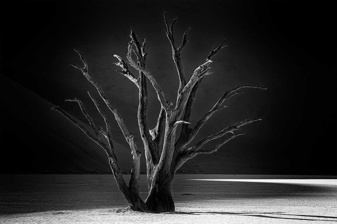 Songs of the desert  | Sossusvlei