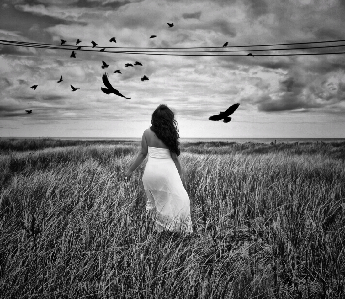 bird on a wire