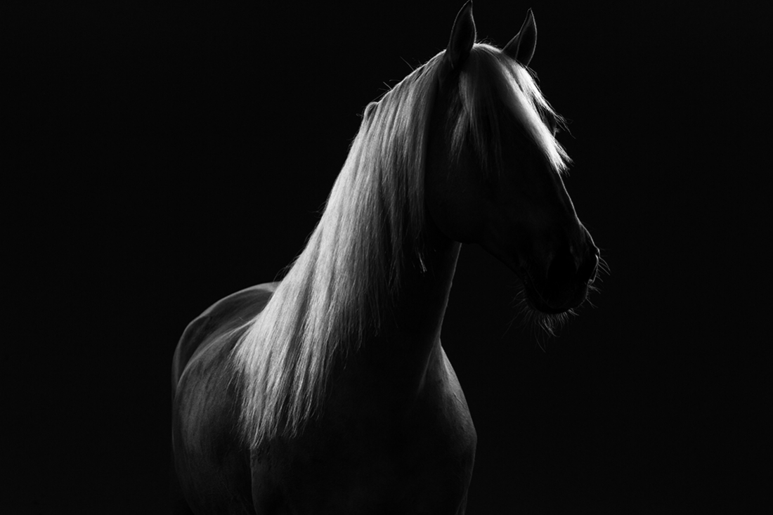 Darkness & Freedom
