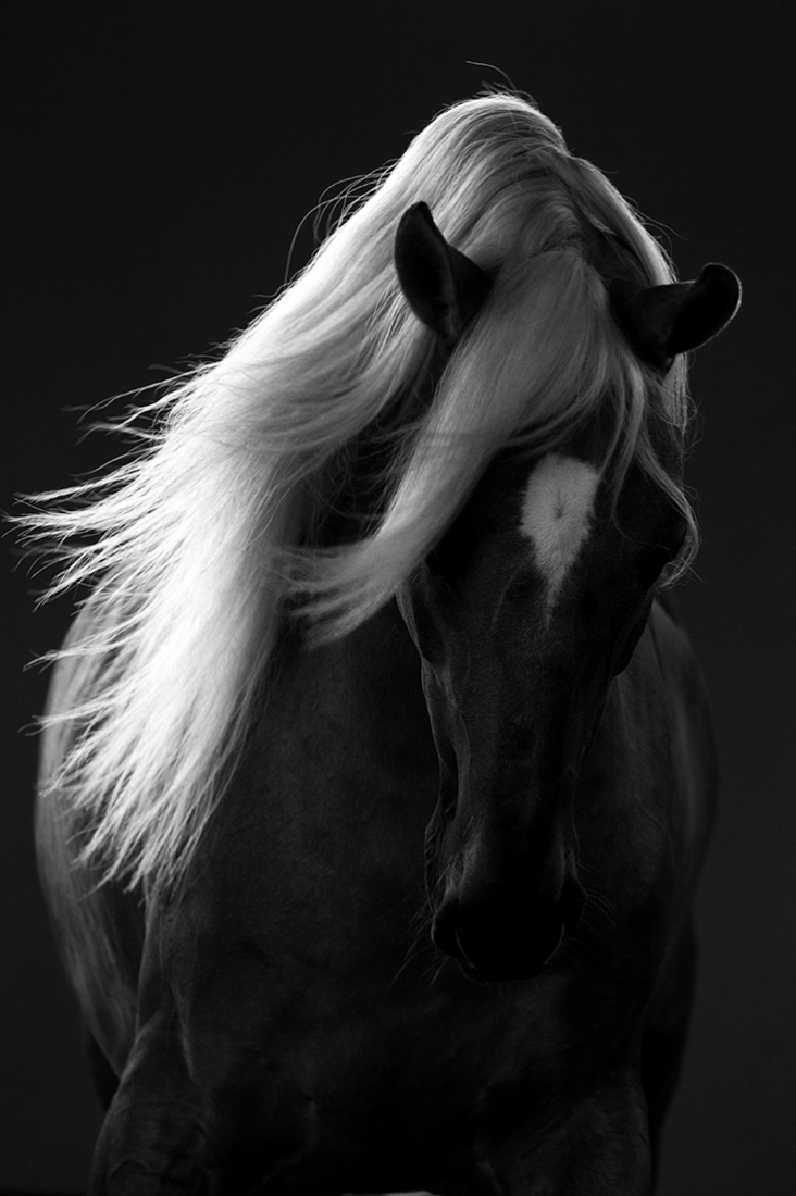 Darkness & Freedom