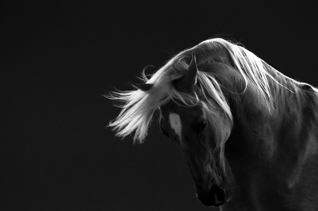 Darkness & Freedom