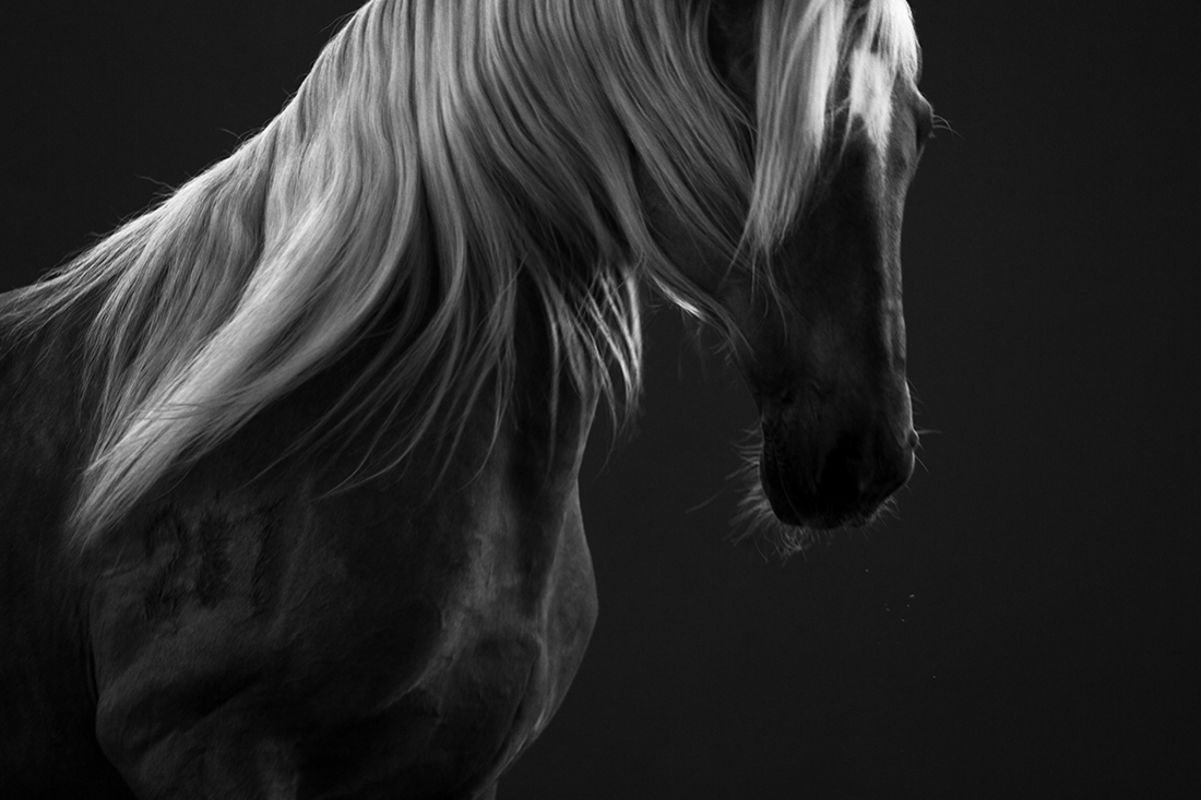 Darkness & Freedom