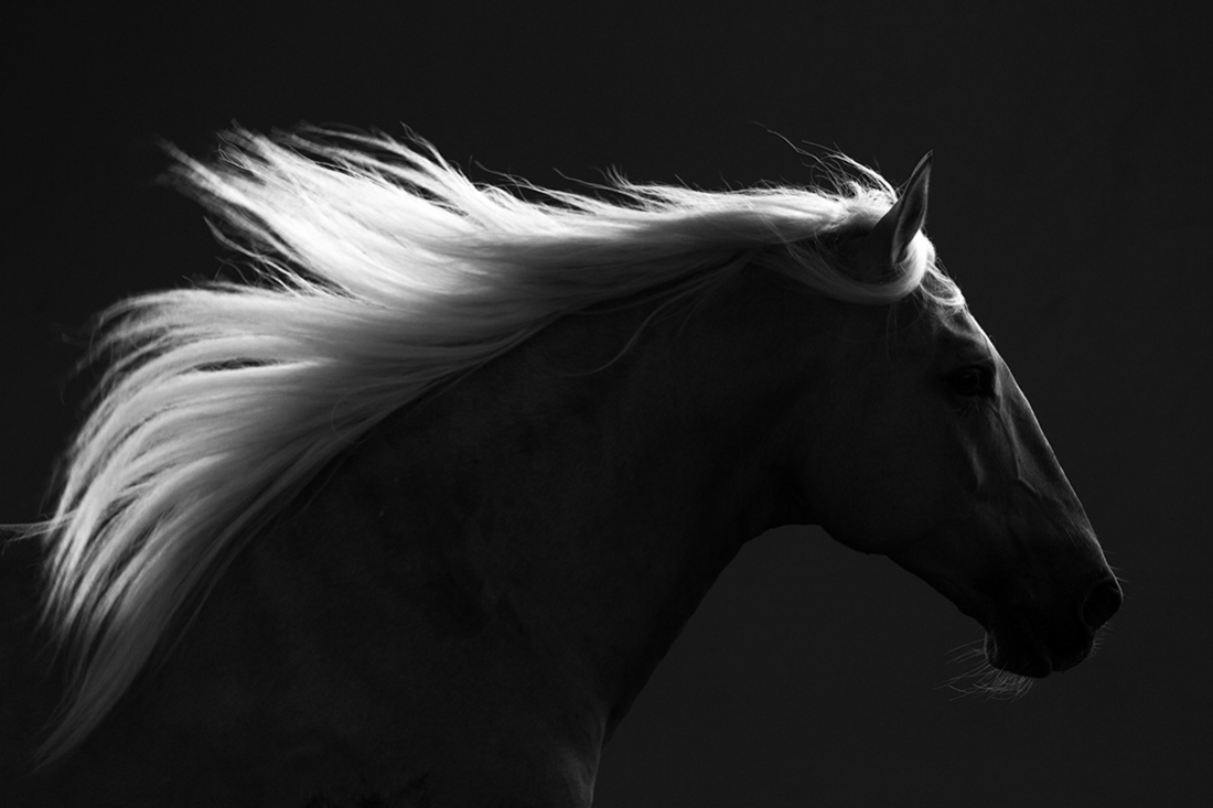 Darkness & Freedom