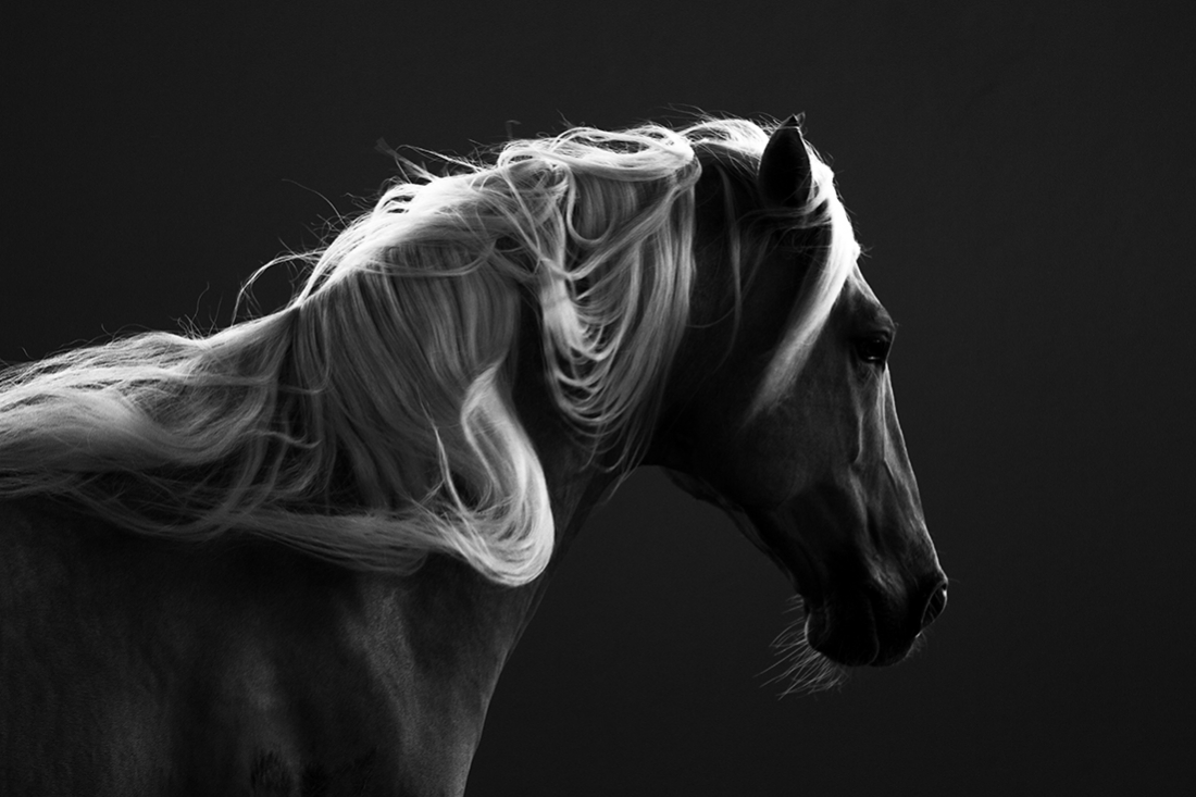 Darkness & Freedom