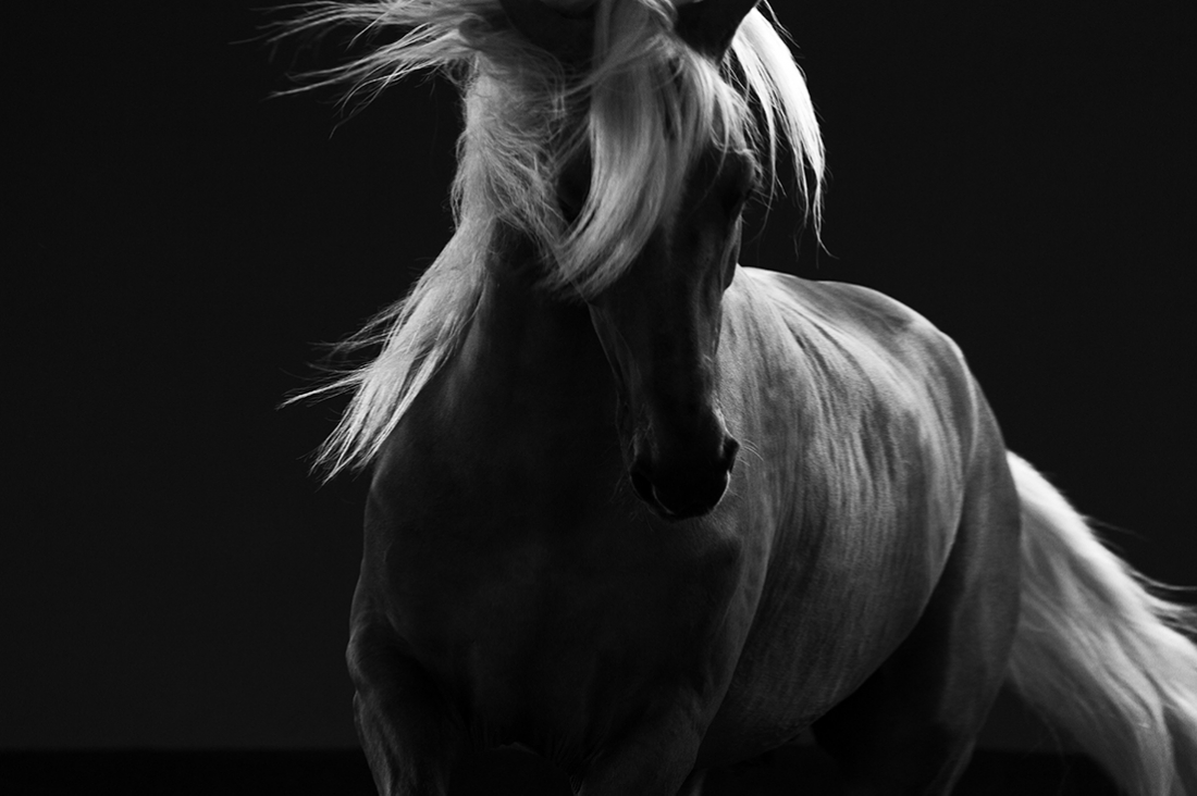 Darkness & Freedom