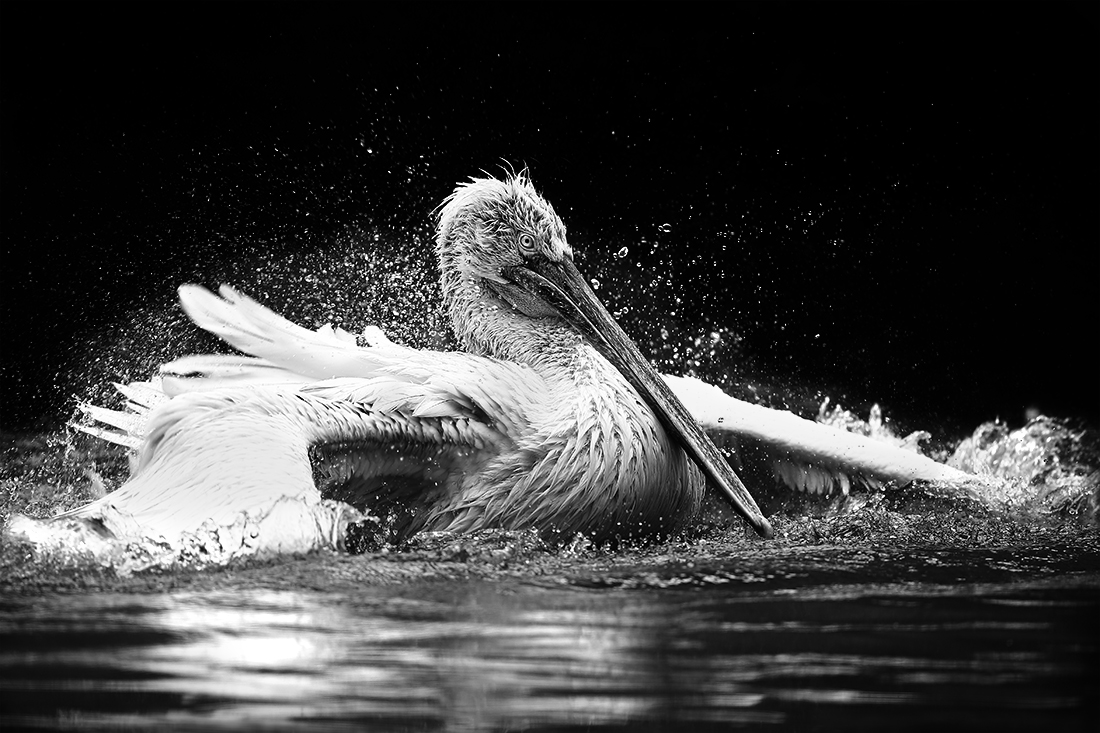 Bathing In Light
