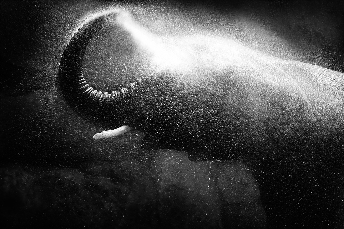 Bathing In Light