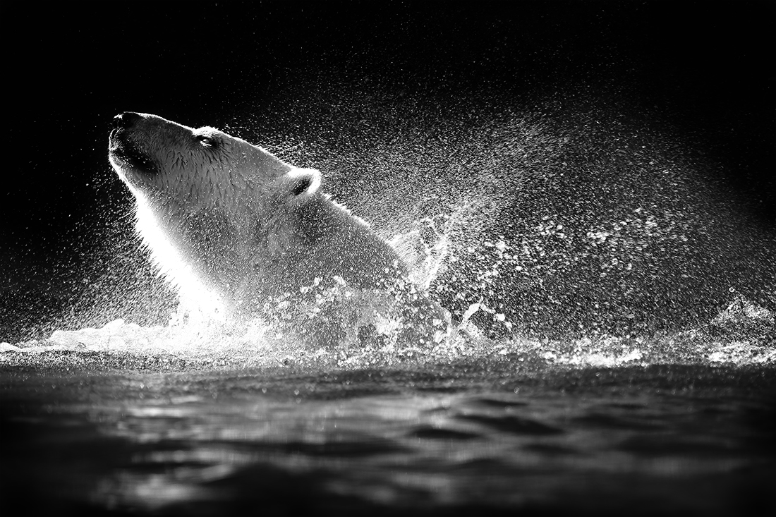 Bathing In Light