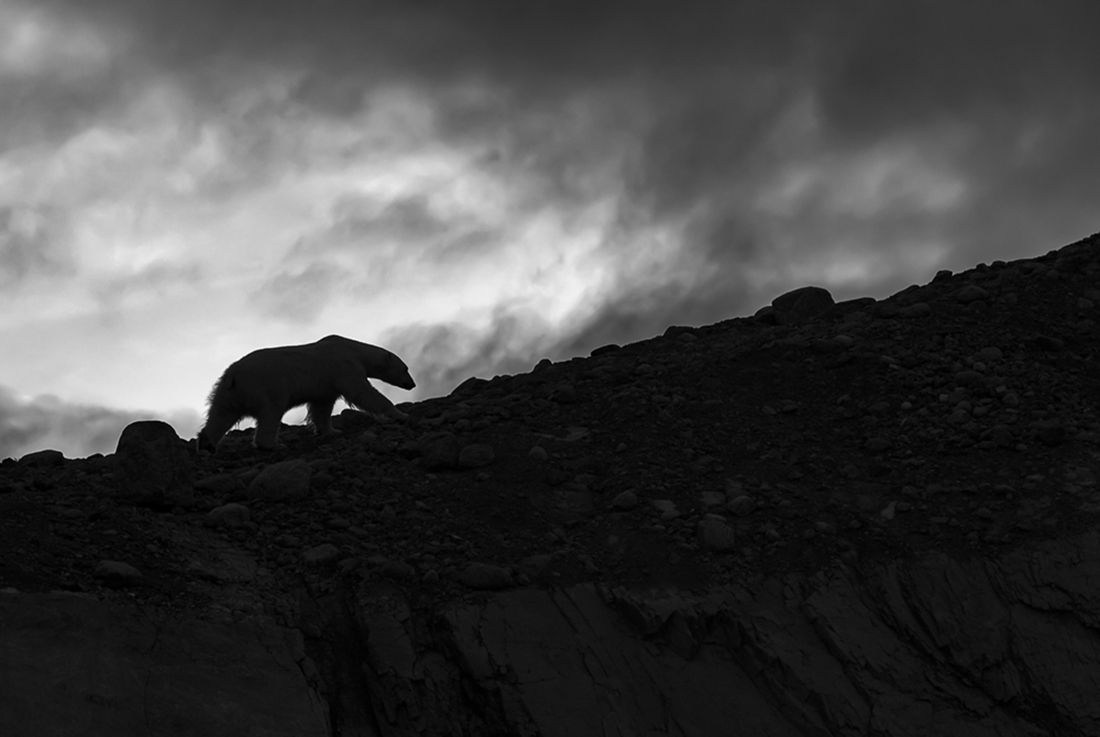 To the summit 