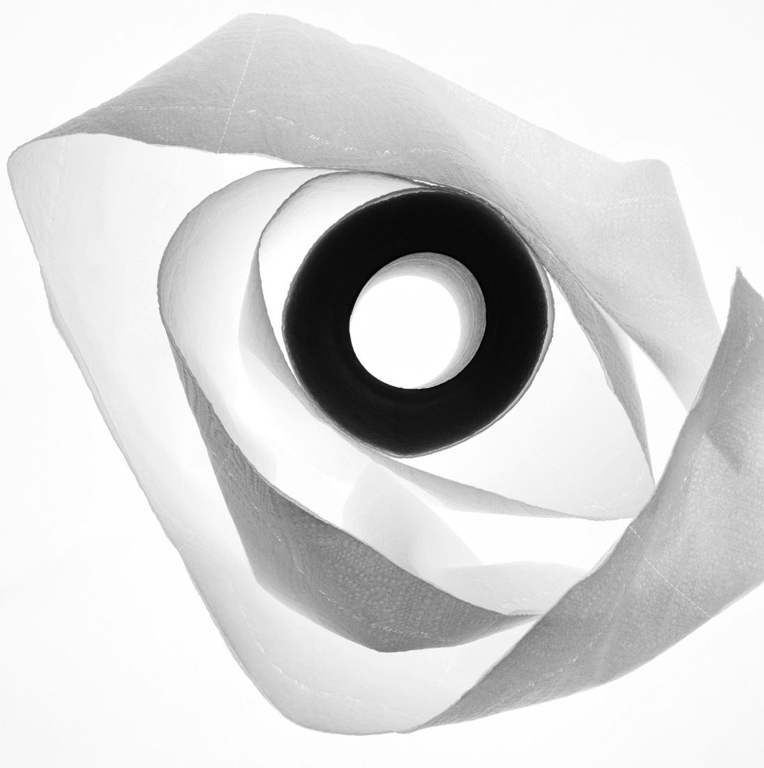 Toilet Paper
