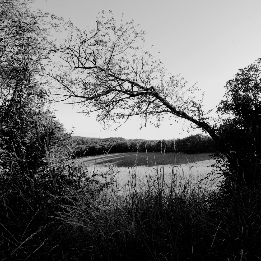 Les Causses de Quercy