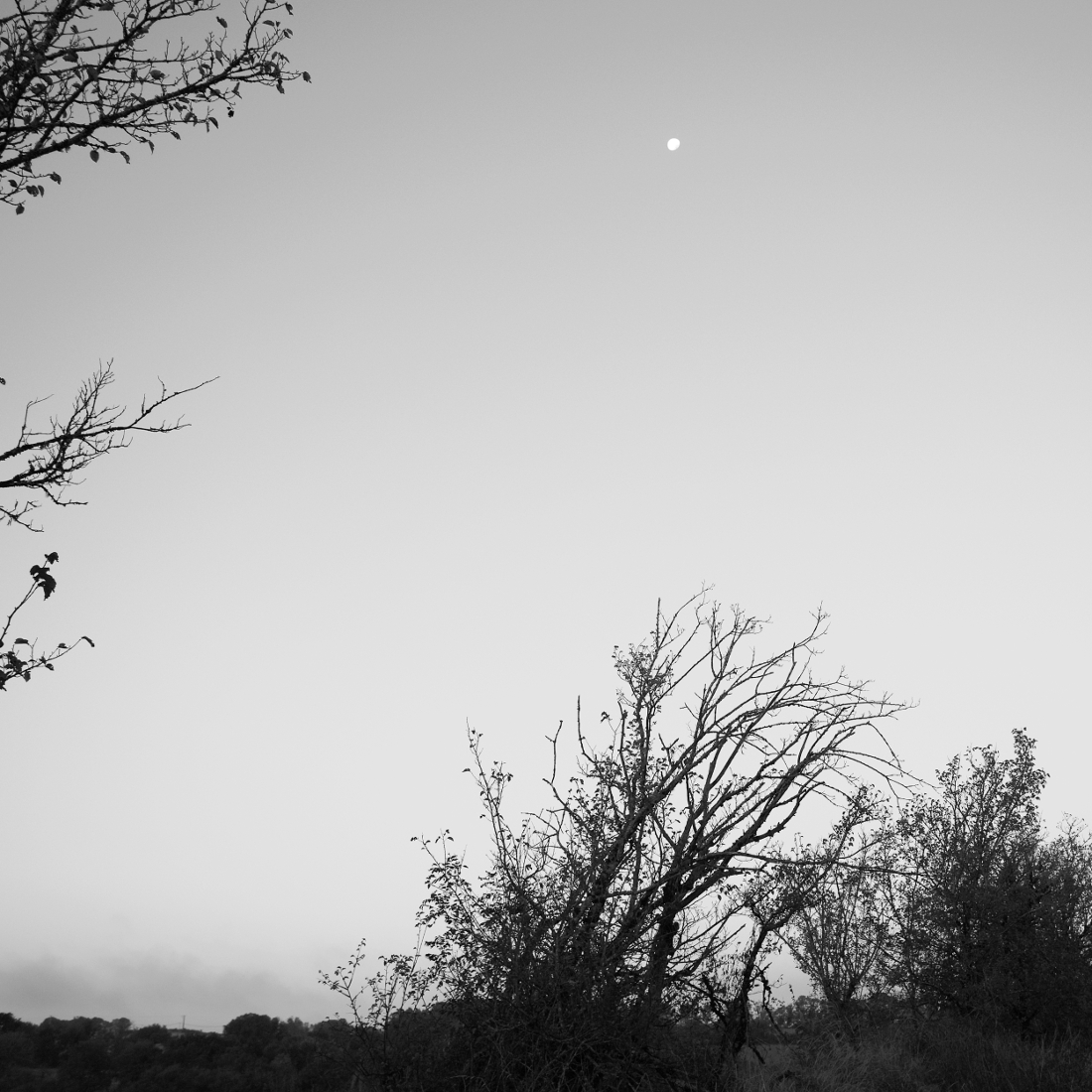 Les Causses de Quercy
