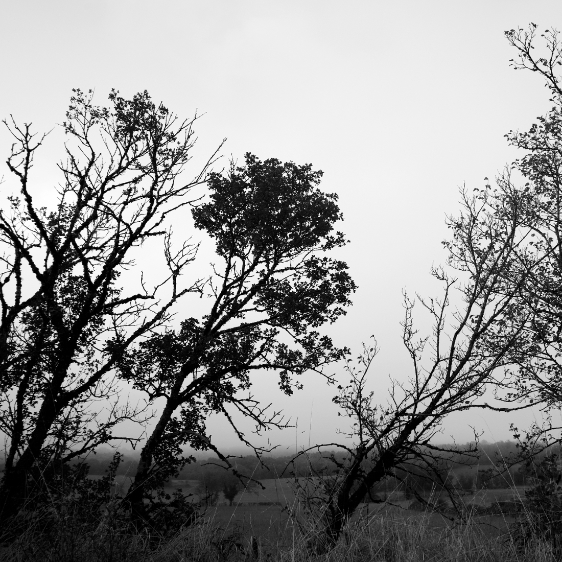 Les Causses de Quercy