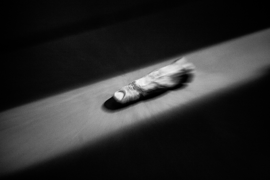 Transmissions From a Lonely Room