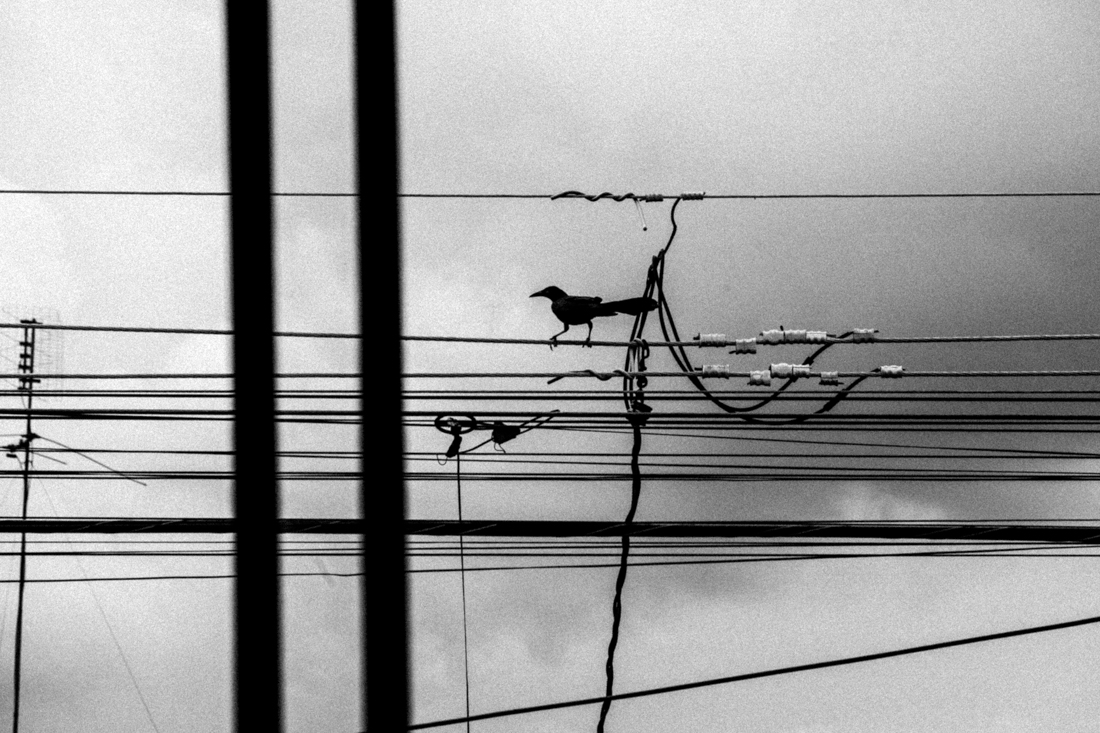 Transmissions From a Lonely Room