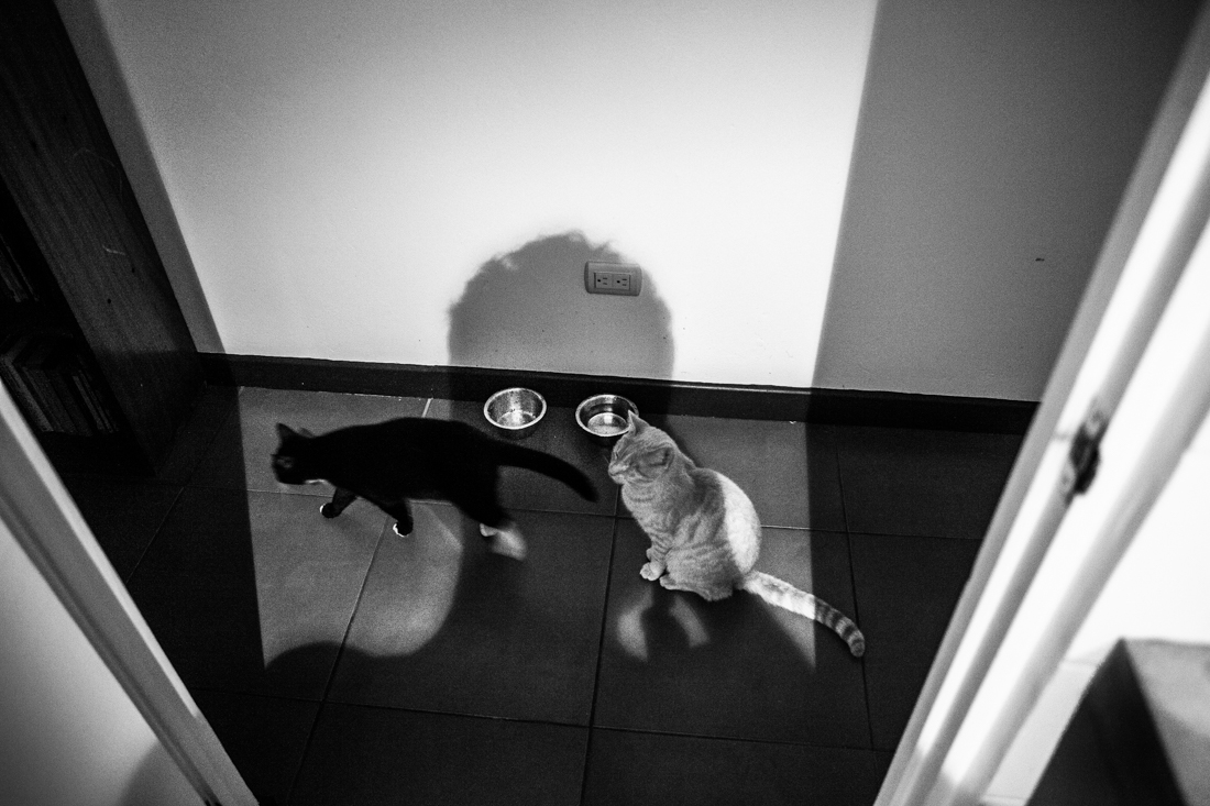 Transmissions From a Lonely Room
