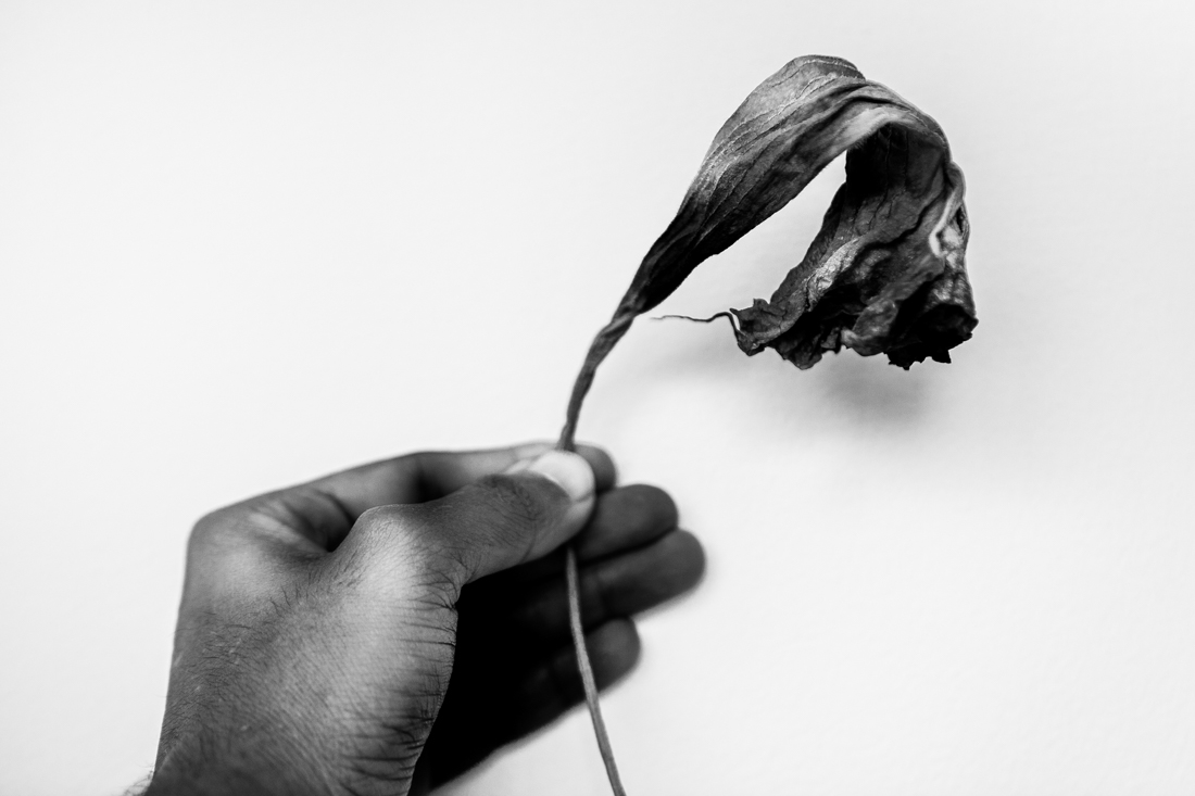 Transmissions From a Lonely Room