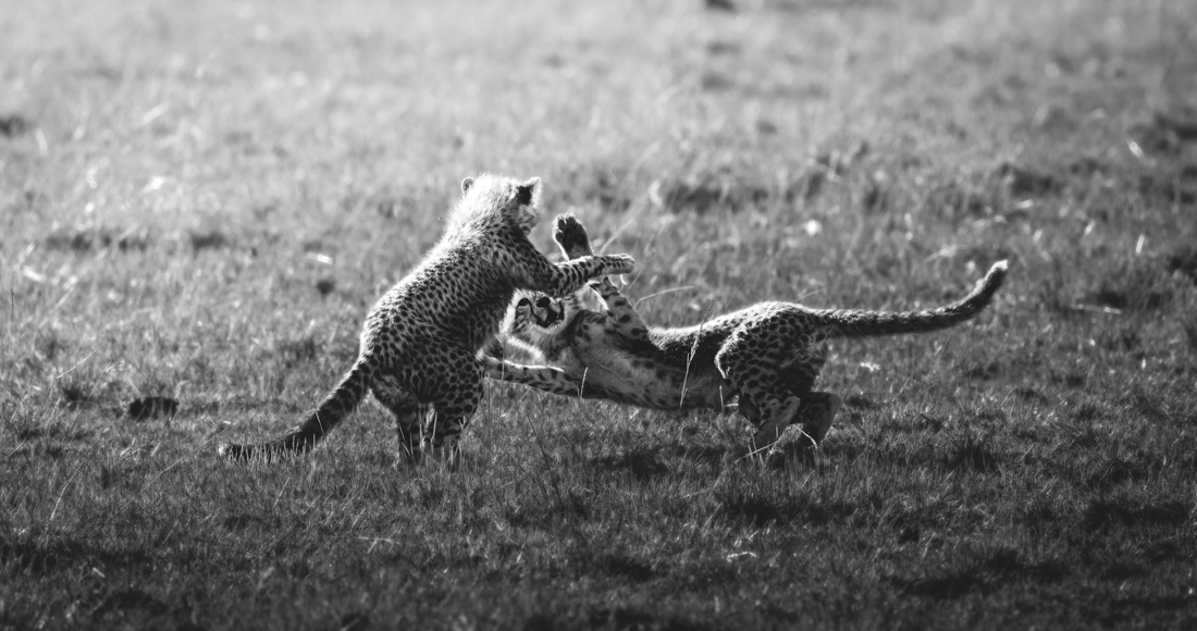 Spirited Play