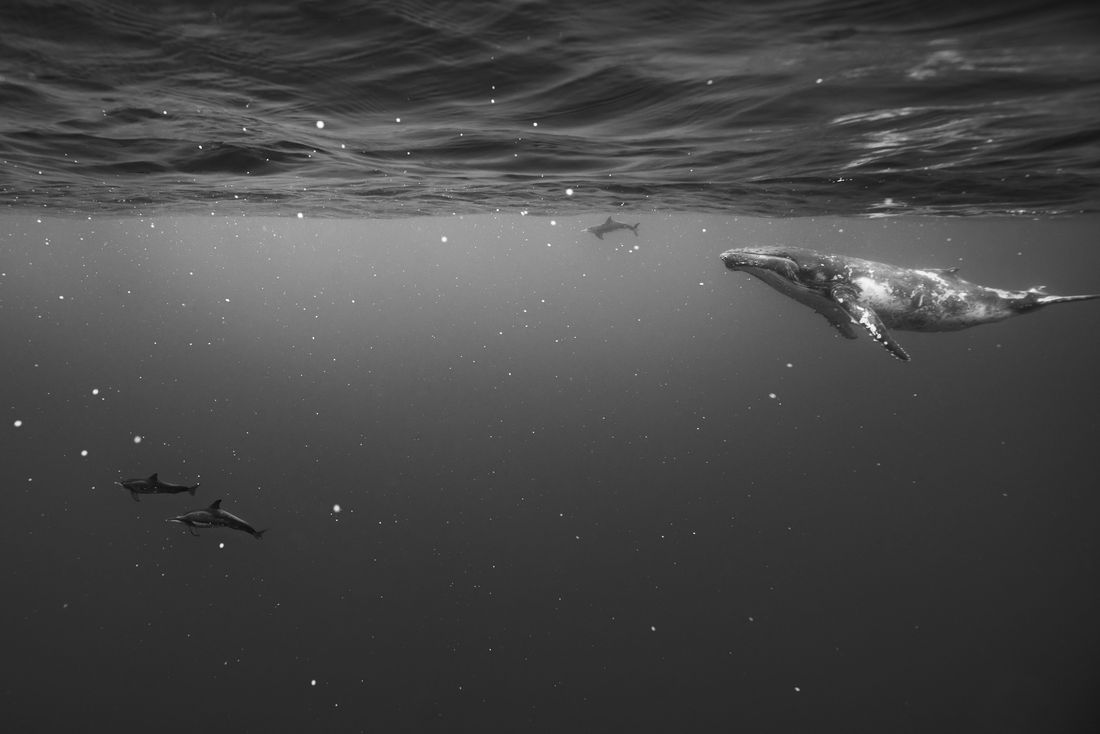 The beauty of life, forgiveness, and the power of positive change