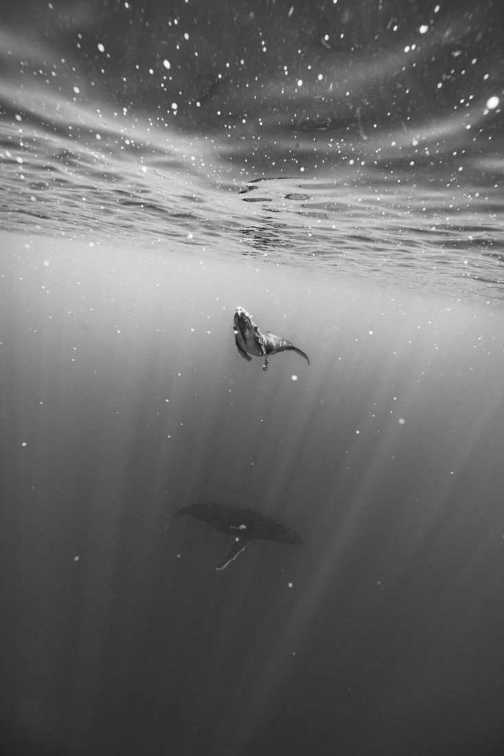 The beauty of life, forgiveness, and the power of positive change