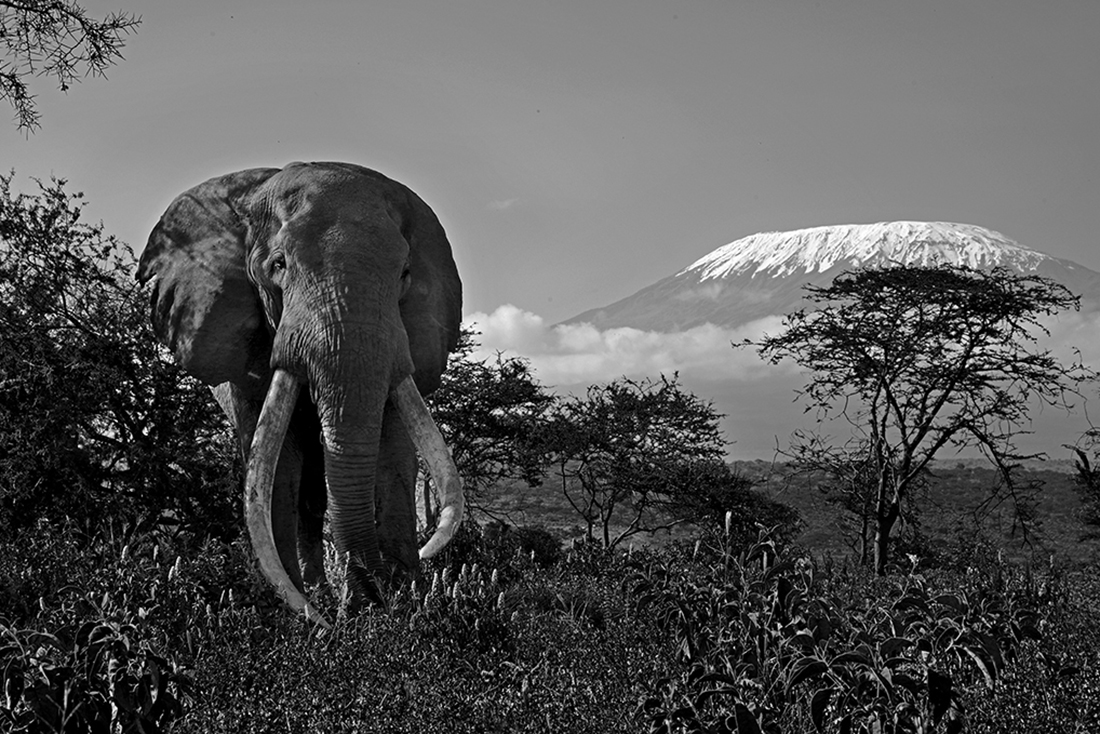 The Land of the Giants