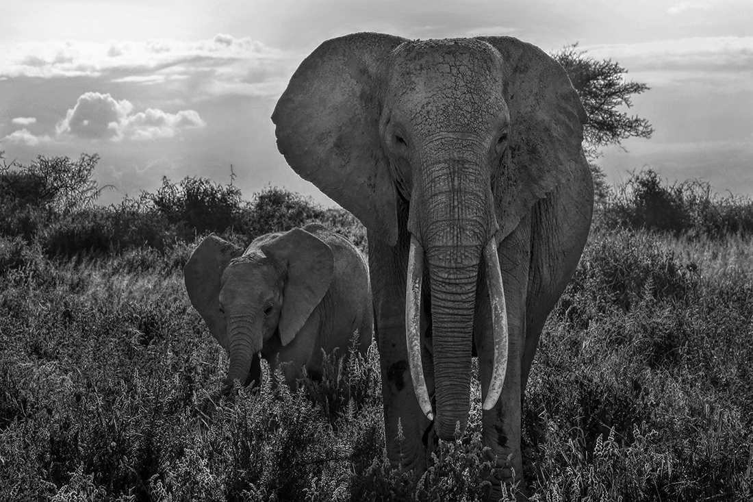 The Land of the Giants