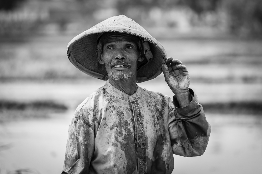 Rice farmer