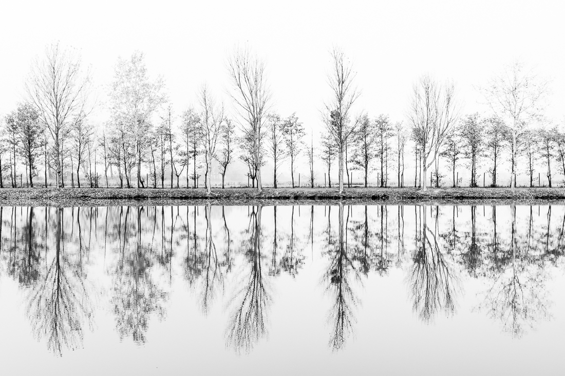 Reflection