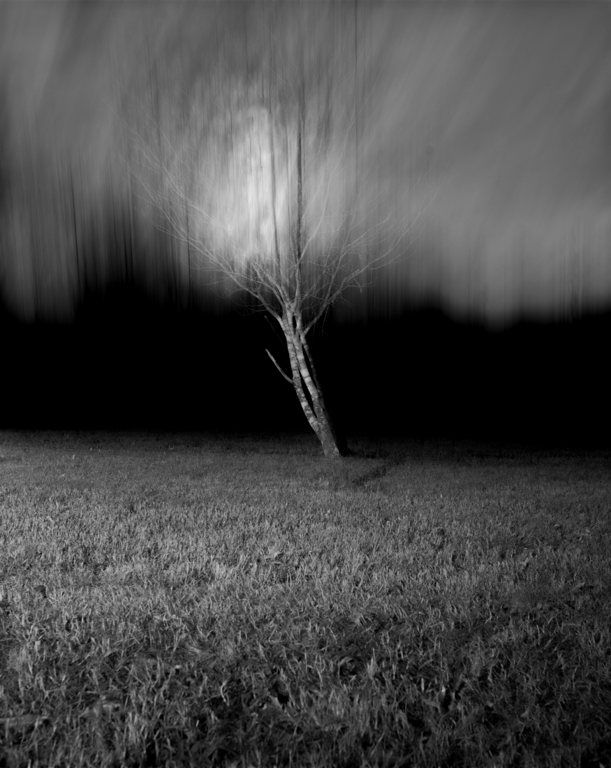 Presence