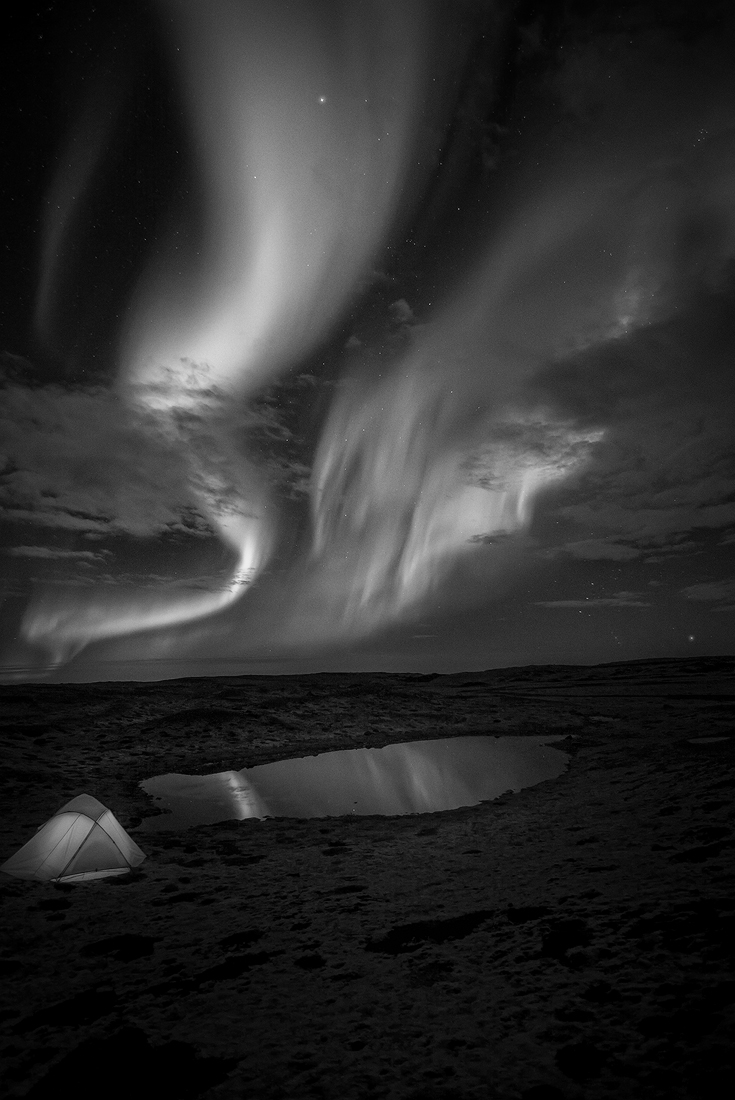 Northern Homeland