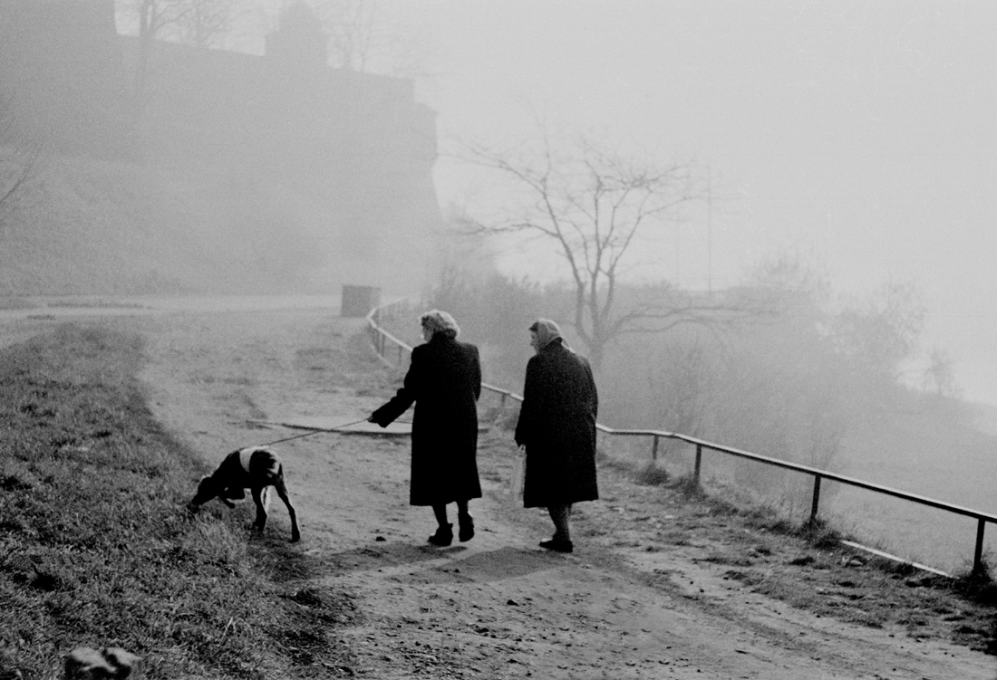Old Krakow on a foggy day