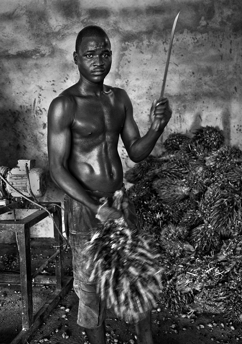 Palm oil production in the Central African Republic